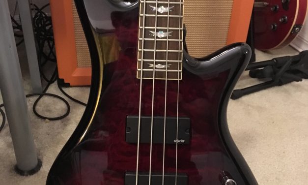 Buying a great bass for under $500